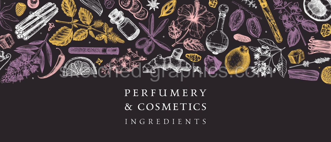 Perfumery and cosmetics ingredients banner. Flower, fruit, spice, herb sketches. Hand drawn vector illustration. Cosmetics design template. Aromatic plants background Illustration